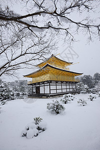 京角寺雪历史蓝色寺庙天气公园季节天空金子旅行旅游图片
