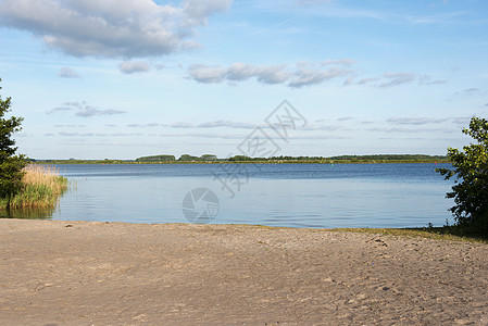 荷兰风景与水的纽尔德瑙沃蓝色地平线天空芦苇图片