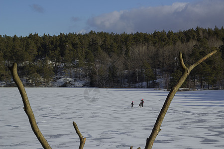 瑞典冰湖上的滑冰 母亲和两个孩子 纳卡雷保留地 斯德哥尔摩自然保护区森林户外运动蓝色天空自然运动冰刀景观旅行自然保护区图片