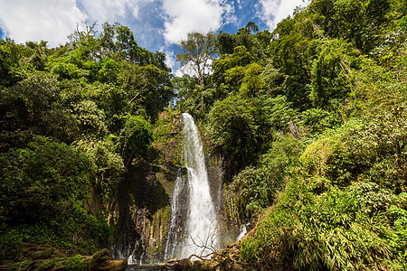 丛林中的瀑布巨石树木溪流旅游岩石地点植被森林植物群悬崖图片