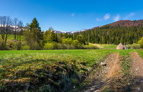 春季穿过农村的乡村道路国家公路爬坡泥路草地小路风景牧场地区山脊森林资源图片