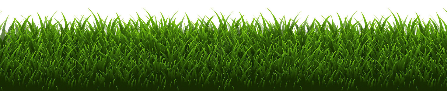 草边界隔离足球宏观草地植物横幅墙纸插图园艺叶子牧场图片