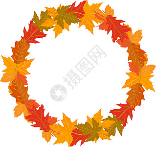 秋季圆花圈的矢量说明 黄绿色红褐色叶植物卡片框架橙子橡木圆圈插图红色横幅森林图片