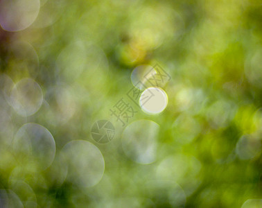 浅绿色背景太阳墙纸活力生态季节花园叶子公园坡度光束图片