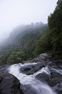 坦博林山的摩兰瀑布森林热带生态瀑布旅行环境公园叶子国家岩石图片