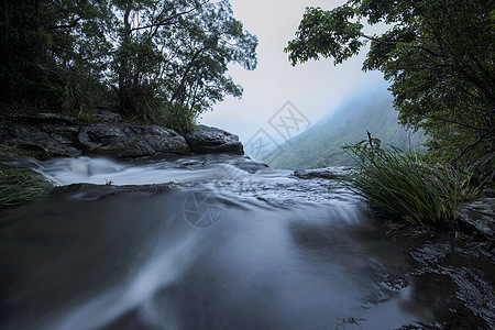 坦博林山的摩兰瀑布瀑布森林国家溪流公园热带叶子荒野岩石旅行图片