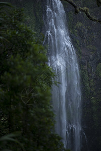 坦博林山的摩兰瀑布森林叶子风景公园岩石溪流热带瀑布国家环境图片