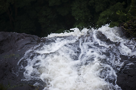 坦博林山的摩兰瀑布环境瀑布荒野叶子森林岩石国家旅行溪流公园图片