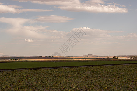 国家农业和农耕田地草原生态寂寞牧场农村环境植被僻壤乡村天空图片