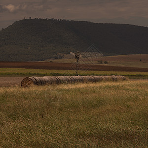 国家农业和农耕田地农村荒野穷乡牧场乡村饲料牧草僻壤植被生态背景图片