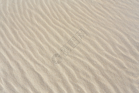 桑迪海滩背景和直线图片