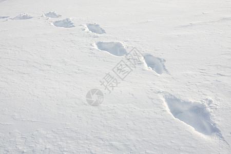 新鲜雪中脚印打印小路地面粉末脚步漂流勘探漂移天气降雪图片