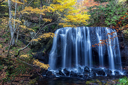 龙泽不动瀑布福岛游客溪流树叶流动叶子旅游旅行季节森林图片