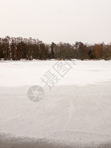 冰冻的湖顶地表水面 白雪季节旅行荒野天空寒意树木场景农村天气森林图片
