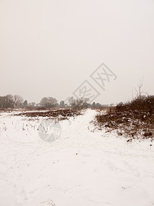 圆木外雪覆盖的田间草地 自然是白色冬野季节场景天气木头环境森林农村寒冷公园气候图片