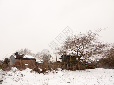 白色天空外的寒冬雪场 黄昏时建筑花园房子公园村庄场地天气场景木头美丽图片