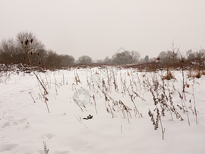 圆木外雪覆盖的田间草地 自然是白色冬野旅行气候风景场地季节天空降雪农村暴风雪农田图片