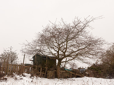 白色天空外的寒冬雪场 黄昏时建筑房子公园美丽木头天气场景季节国家旅行图片