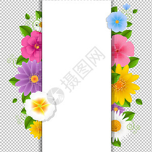 卡片与鲜花透明背景花朵花圈框架婚礼玫瑰牡丹花园蓝色区系洋甘菊图片