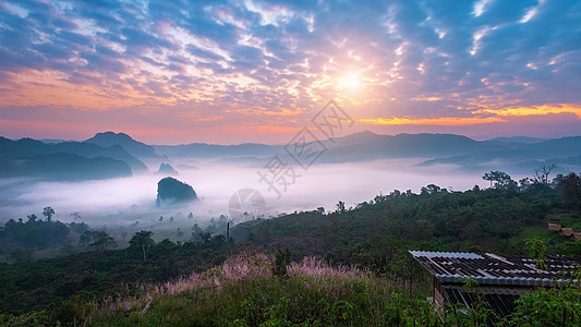 清晨的薄雾在泰国假期树木射线公园房子日落国家风景蓝色森林图片