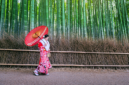 竹林 亚洲女人在日本京都的竹林 穿着日式传统和服场景寺庙木头街道文化女孩女士植物叶子栅栏图片