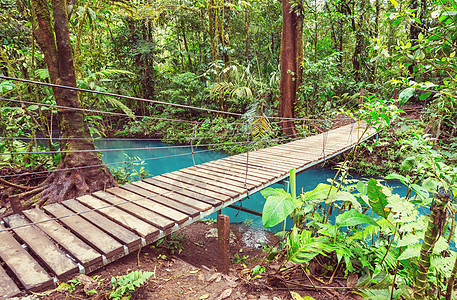 哥斯达黎加的桥梁旅行丛林小路森林树木热带环境金属远足植物图片