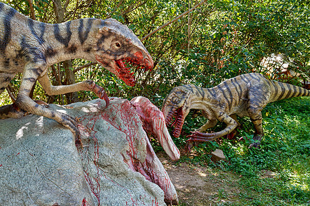 前史前恐龙 猛禽攻击猎物捕食者爪子灭绝动物化石牙齿蜥蜴侏罗纪猎人爬虫图片