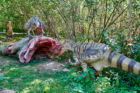 前史前恐龙 猛禽攻击猎物公园生物动物灭绝食肉森林食草蜥蜴猎人爪子图片