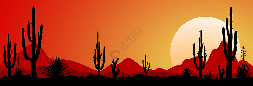 墨西哥沙漠日落1图片