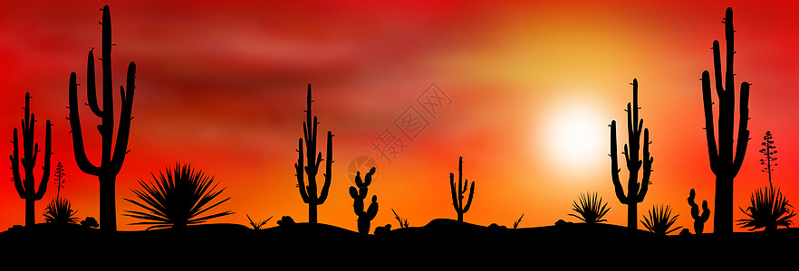 墨西哥沙漠日落2图片