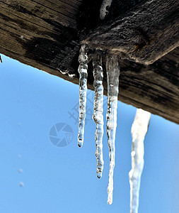 木屋顶边缘的冰柱图片