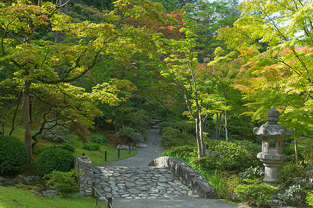 日本花园池塘反射灌木丛小路树木荷叶庭园秋叶公园图片