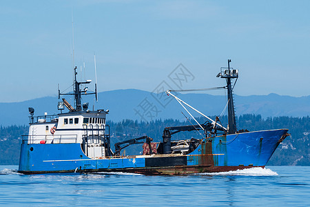 雾蓝螃蟹钓鱼商船商业渔船渔业海洋航海船队血管图片