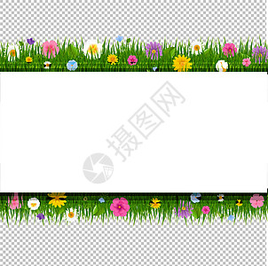 具有绿花透明背景的贺卡Name图片