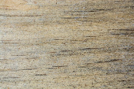 具有自然花纹的木质纹理木头材料地面背景木工木材硬木控制板图片