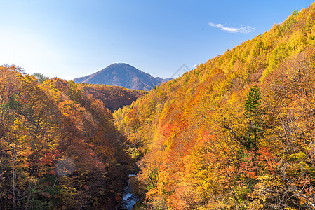 中津川福岛秋天旅行溪流游客红色叶子流动森林季节树叶旅游图片