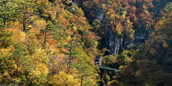 日本宫城东北有铁道隧道的峡谷农村悬崖火车鸣子铁路木头季节溪流游客岩石图片