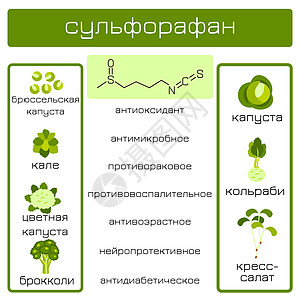 信息图表 萝卜硫素有机化合物消炎药预防水芹抗菌剂菜花疾病神经营养糖尿病癌症图片