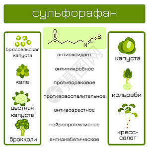 信息图表 萝卜硫素有机化合物消炎药预防水芹抗菌剂菜花疾病神经营养糖尿病癌症图片