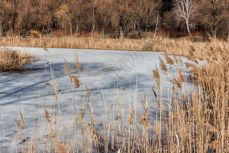寒冬阳光明媚的风景 乌克赖森林湖景色场景天气日志巨石地平线反射日落季节太阳公园图片