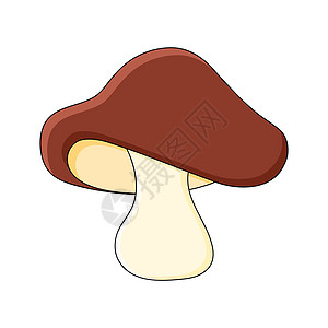 在白色背景上孤立的蘑菇漫画设计 poletus 蘑菇卡通设计图片