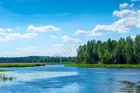 阳光明媚的一天美丽的风景     农村的河流图片