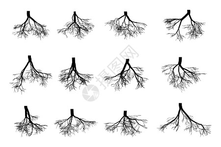 树根在白色背景下被隔离 植物身体地下根部的黑色图像向下生长到土壤中 矢量平面样式卡通它制作图案图片
