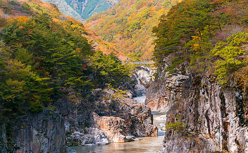 日本 Nikko 河谷峡谷树木旅行风景地标旅游公吨悬崖温泉目的地景点图片