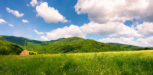 山上草原上的干草地国家土地驼峰场地地毯草垛山脊爬坡风景全景图片