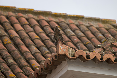 葡萄牙文红色瓷砖屋顶陶瓷制品建筑屋面房子建筑学黏土纹理橙子图片