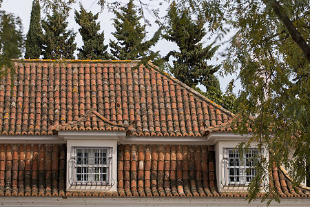 葡萄牙文红色瓷砖屋顶建筑学窗户制品橙子建筑陶瓷黏土房子屋面纹理图片
