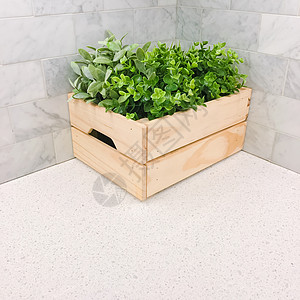 厨房拐角一个木箱中的绿色植物图片