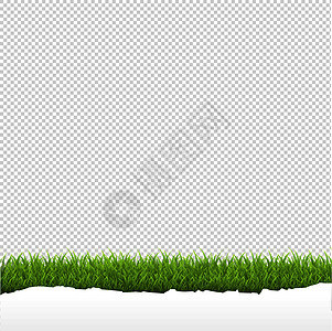 在透明背景上隔离的草边框牧场横幅草本植物宏观植物足球公园环境海报插图图片