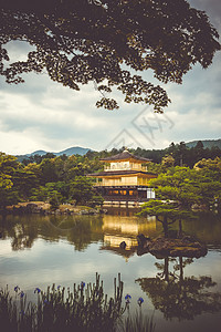 日本京都Kinkakuji金殿反射金子旅行旅游神道建筑遗产文化建筑学神社图片